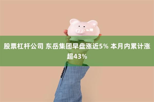 股票杠杆公司 东岳集团早盘涨近5% 本月内累计涨超43%