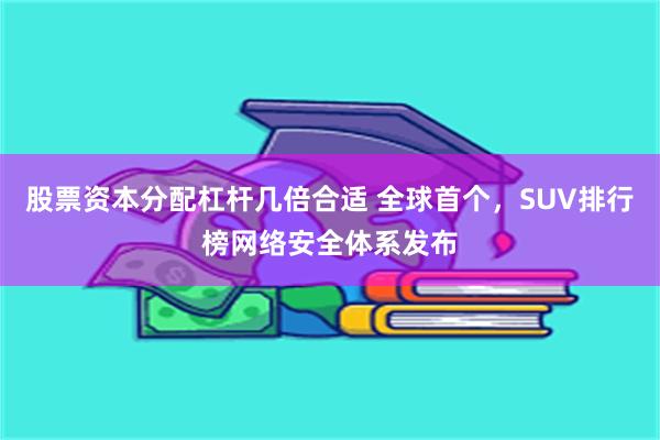 股票资本分配杠杆几倍合适 全球首个，SUV排行榜网络安全体系发布