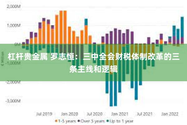 杠杆贵金属 罗志恒：三中全会财税体制改革的三条主线和逻辑