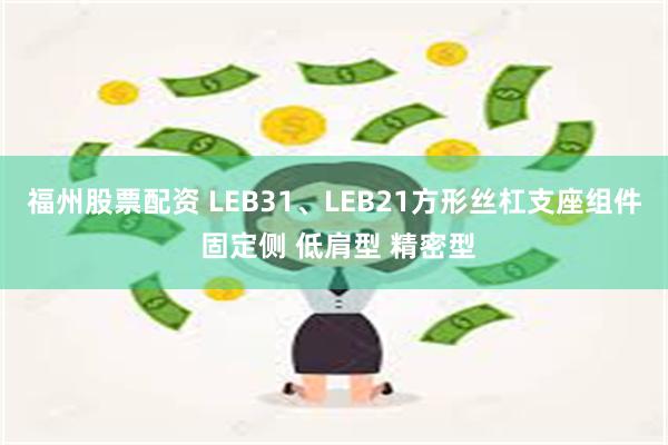 福州股票配资 LEB31、LEB21方形丝杠支座组件 固定侧 低肩型 精密型