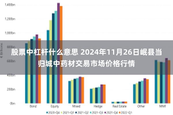 股票中杠杆什么意思 2024年11月26日岷县当归城中药材交易市场价格行情