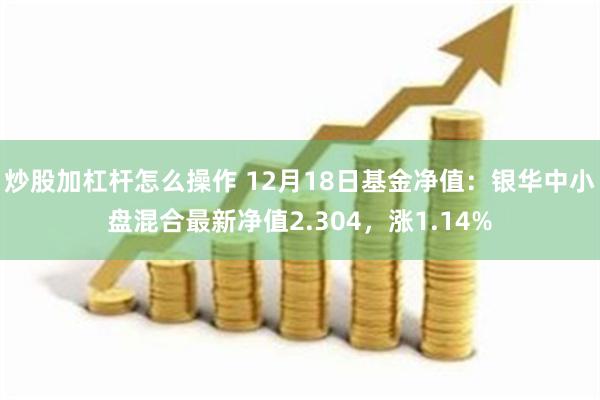 炒股加杠杆怎么操作 12月18日基金净值：银华中小盘混合最新净值2.304，涨1.14%