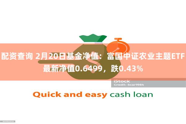 配资查询 2月20日基金净值：富国中证农业主题ETF最新净值0.6499，跌0.43%